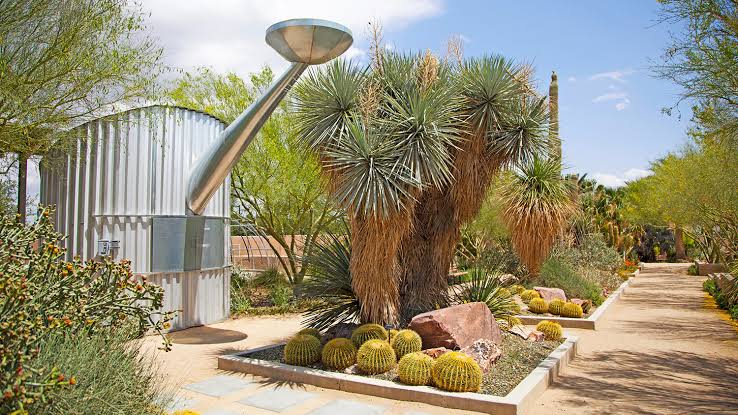 Moving to Las vegas with kids - Springs Preserve