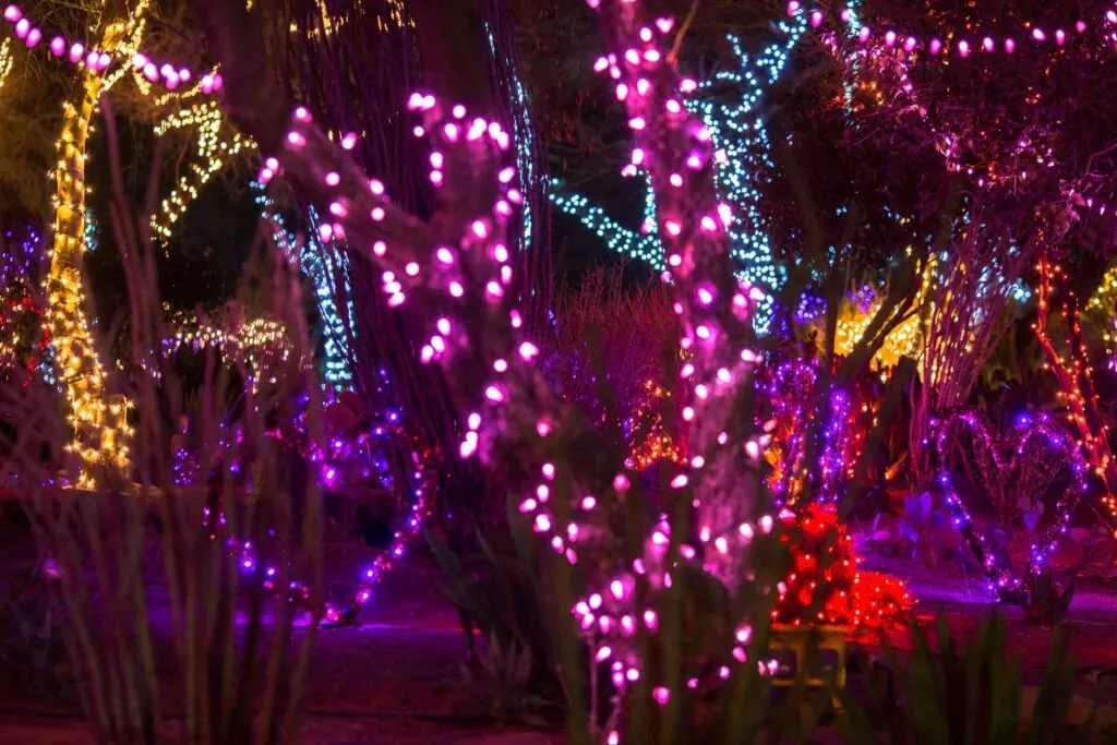 Ethel M Cactus Garden Lights of Love