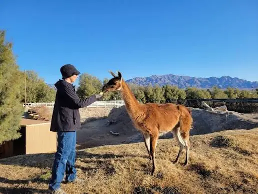 Moving to las Vegas with kids - Gilcrease Nature Sanctuary
